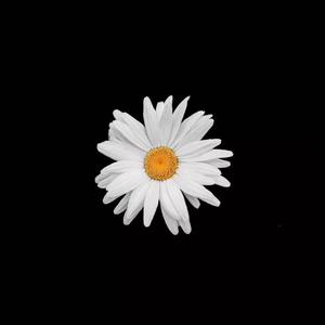 欧美性受xxxx喷水大胸
